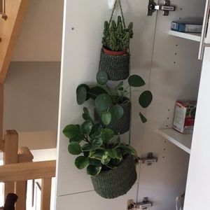 Hanging basket decor